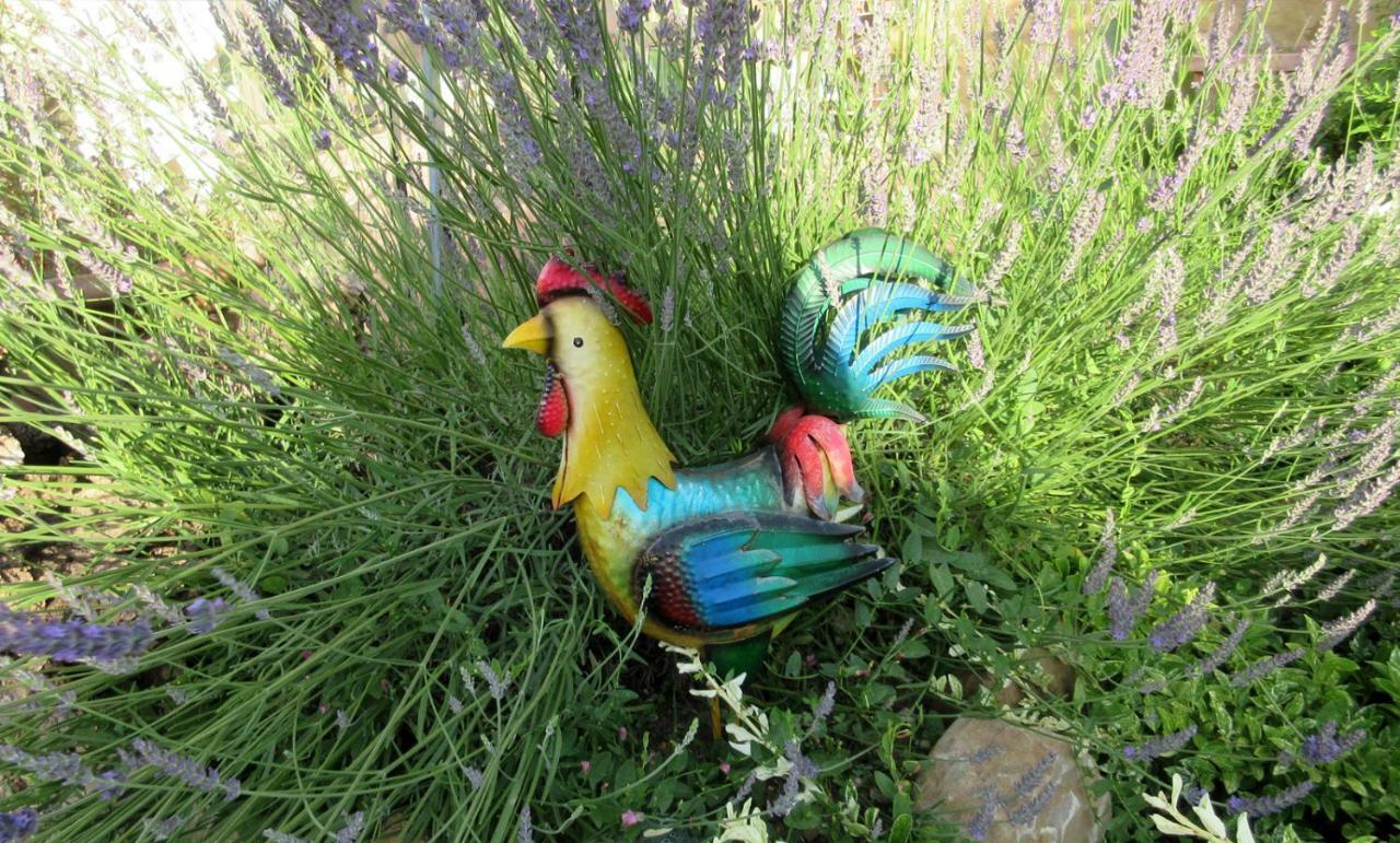 Podere Chiocciola Поджібонсі Екстер'єр фото
